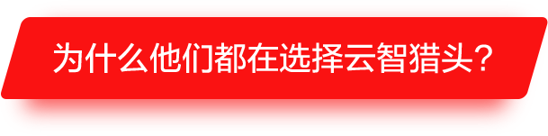 云智咨詢